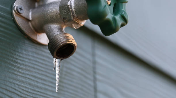 Best Leak Detection Services  in Elma Center, NY